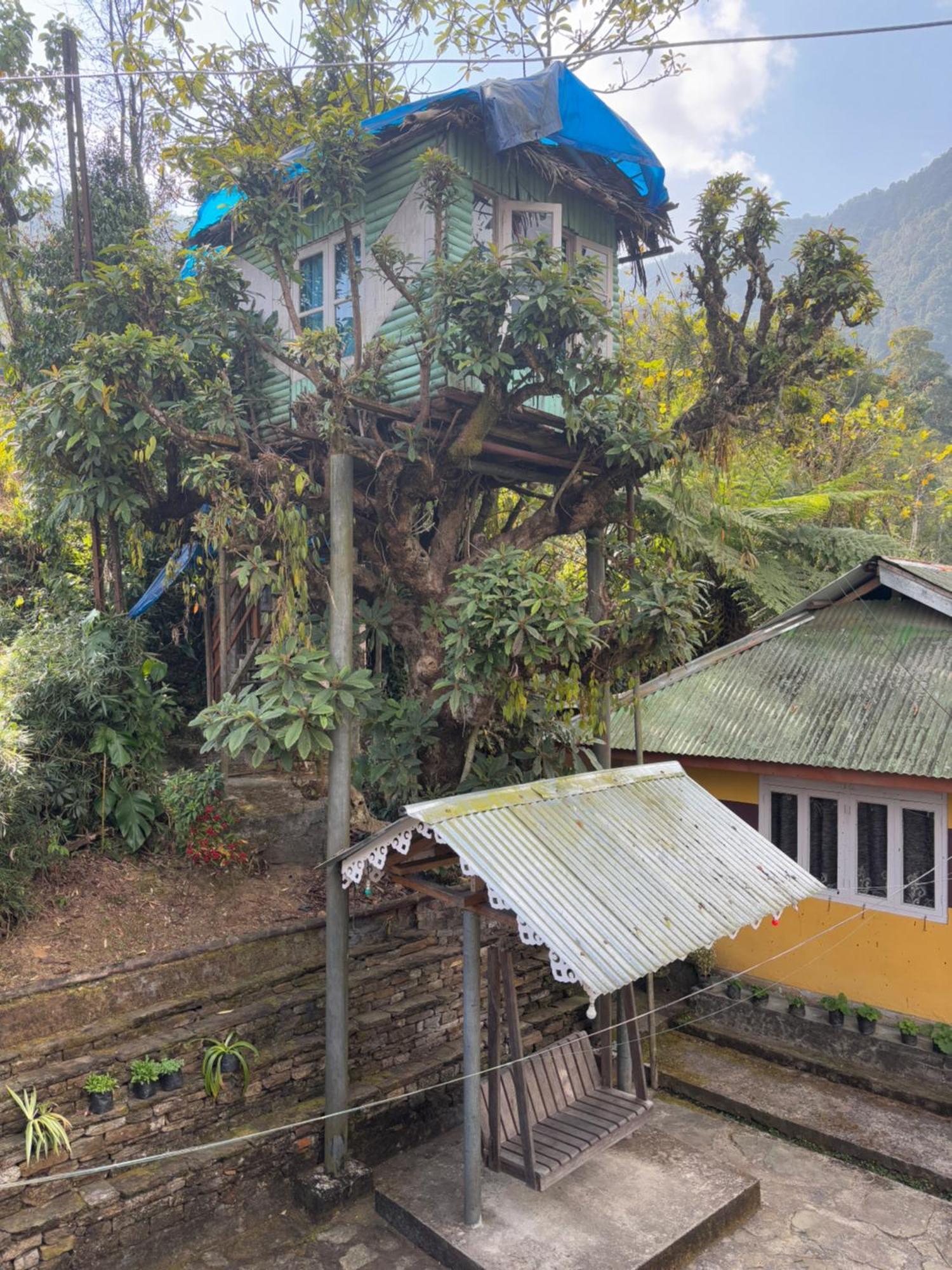Apartament Odyssey'S Darap Eco Retreat Pelling Zewnętrze zdjęcie