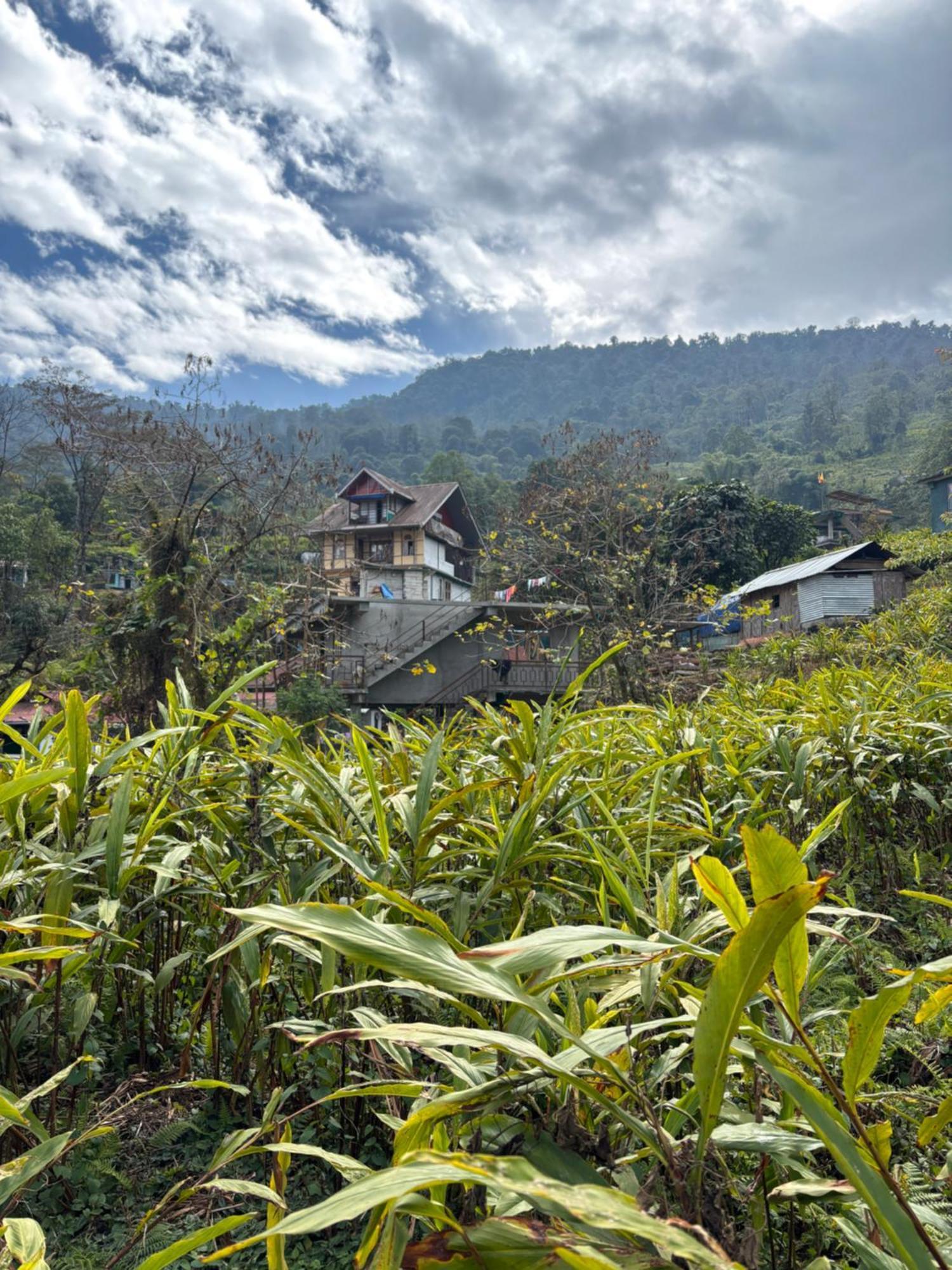 Apartament Odyssey'S Darap Eco Retreat Pelling Zewnętrze zdjęcie